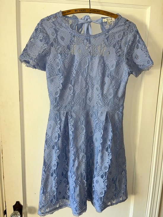 Francesca's Collections Dresses & Skirts - Francesca's Light Periwinkle Lace‎ Overlay Dress L
